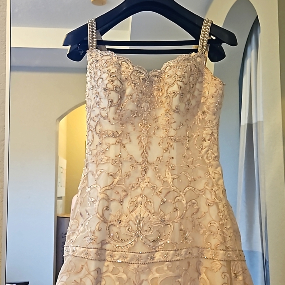 Vintage Blush Wedding Dress A line with cathedral train and veil